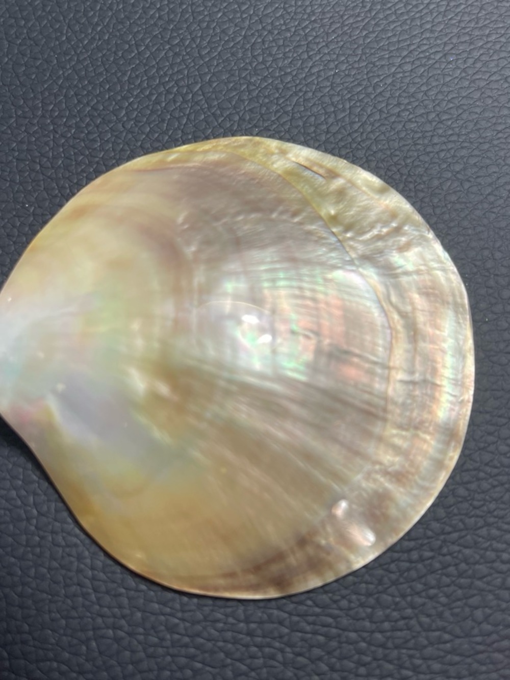 Women’s Bali Products Mother of Pearl Shell Statement Brooch Vintage Style
